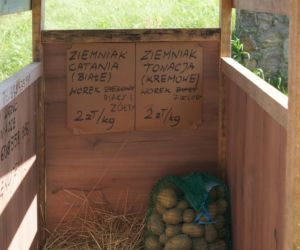 Kartoflomat podbija Podlasie