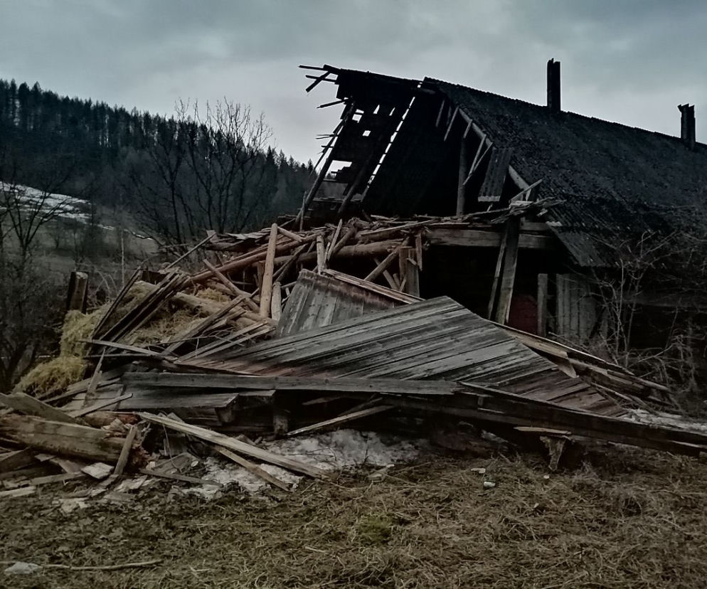 Wierchomla Wielka. Budynek gospodarczy RUNĄŁ w jednej chwili. Widok, jak po trzęsieniu ziemi