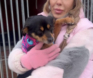 Doda ratuje psy przed mrozem