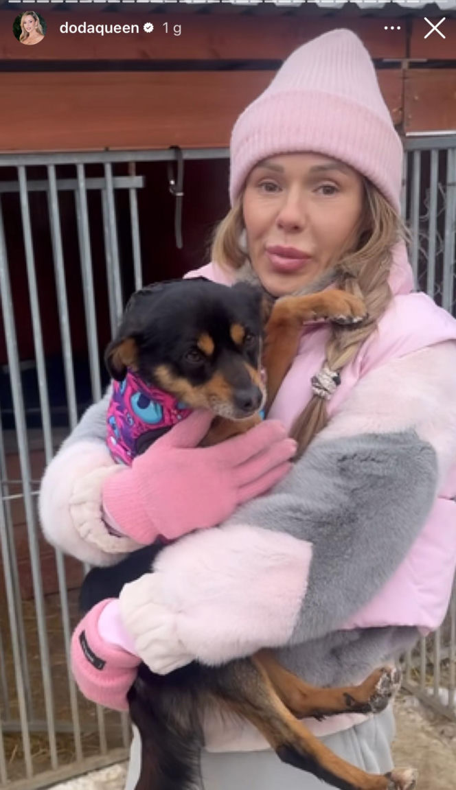 Doda ratuje psy przed mrozem