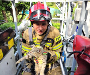 Strażak walczy o powrót do zdrowia. Uległ wypadkowi podczas spaceru z synem