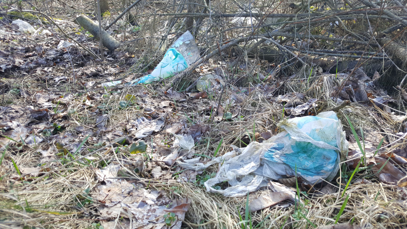 Sprzątanie na bydgoskim Miedzyniu