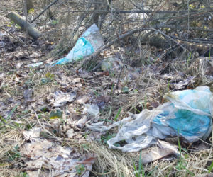 Sprzątanie na bydgoskim Miedzyniu