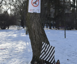 Mieszkańcy opłakują 12-latka, który zabił się na sankach