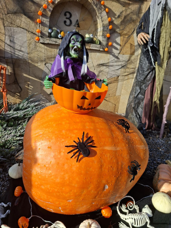 Oto najbardziej halloweenowy dom w Świętokrzyskiem!