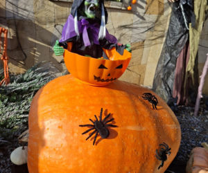 Oto najbardziej halloweenowy dom w Świętokrzyskiem!