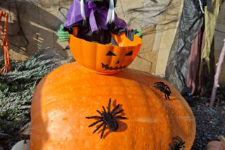 Oto najbardziej halloweenowy dom w Świętokrzyskiem!