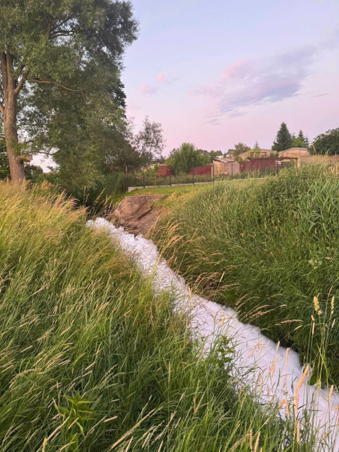 Gęsta piana w rzece na terenie Kałuszyna