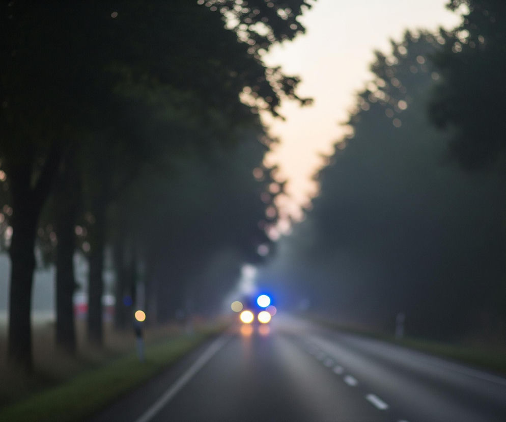 Rozmyta droga asfaltowa rozciąga się w głąb obrazu, a po jej bokach rosną rzędy drzew o ciemnych, niewyraźnych kształtach, zlewających się z tłem. Na niebie widać blade odcienie różu i pomarańczy, przechodzące w szarość i ciemniejsze barwy w dolnej części. W oddali, na drodze, widoczne są rozmyte światła pojazdów: dwa jaskrawo niebieskie, prawdopodobnie policyjne lub służb ratunkowych, oraz kilka żółtych świateł, sugerujących przednie lampy samochodów. Białe przerywane linie wyznaczają pasy ruchu na drodze, która jest otoczona po obu stronach niskim, zielonym poboczem.
