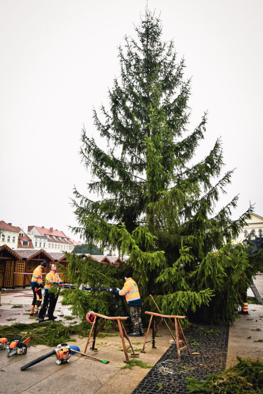 Magia świąt opanowuje Bydgoszcz! Na Starym Rynku pojawiła się choinka! [ZDJĘCIA]