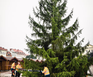 Magia świąt opanowuje Bydgoszcz! Na Starym Rynku pojawiła się choinka! [ZDJĘCIA]