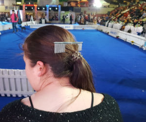 ​Psia elita w Lesznie. W hali Trapez odbyła się XXIV wystawa Champion of Champion's Show