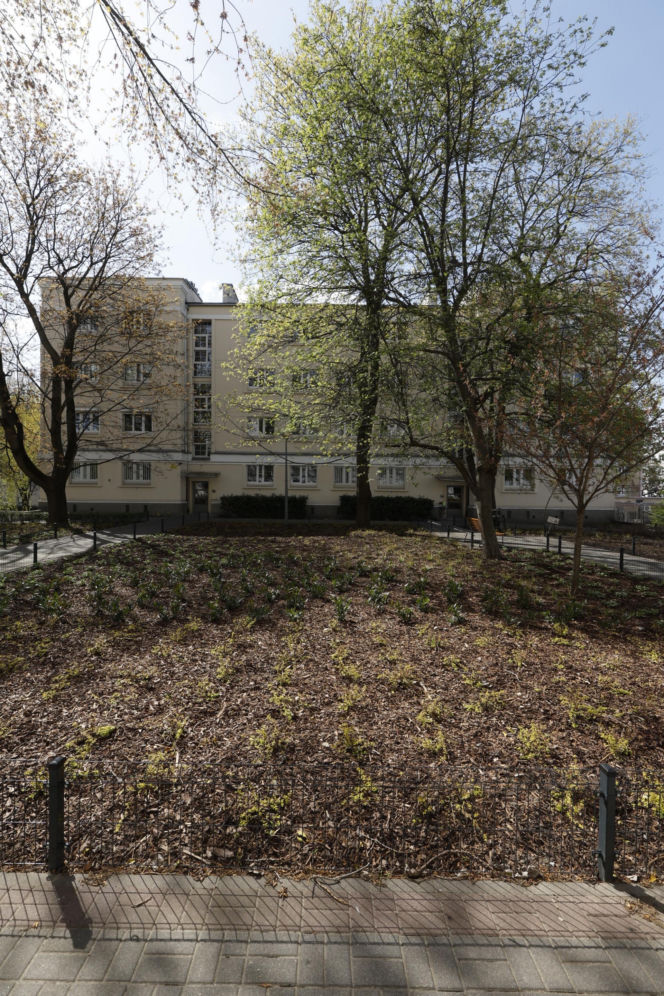 Nożem zaatakował kobietę w mieszkaniu na Śródmieściu. Trafił do szpitala psychiatrycznego