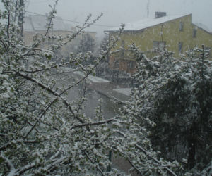 Zima w maju 2011 - zdjęcia Czytelników (Sierakowice na Pomorzu)