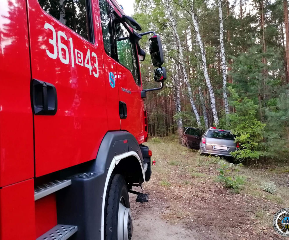 Zbójna. Opel uderzył w drzewo. Kierująca straciła panowanie nad autem [ZDJĘCIA]