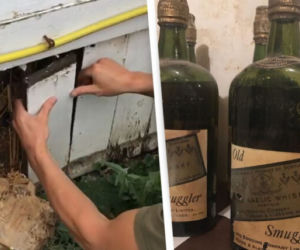 Kupili dom z whiskey w ścianach