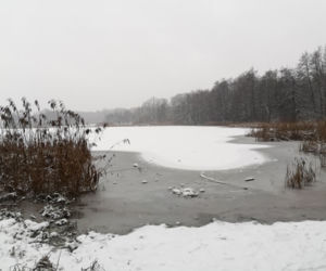 Jezioro Rusałka w zimowej aurze