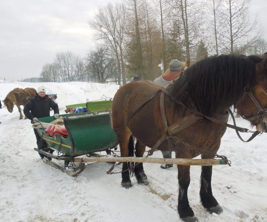 Kulig w Ogrodniczkach