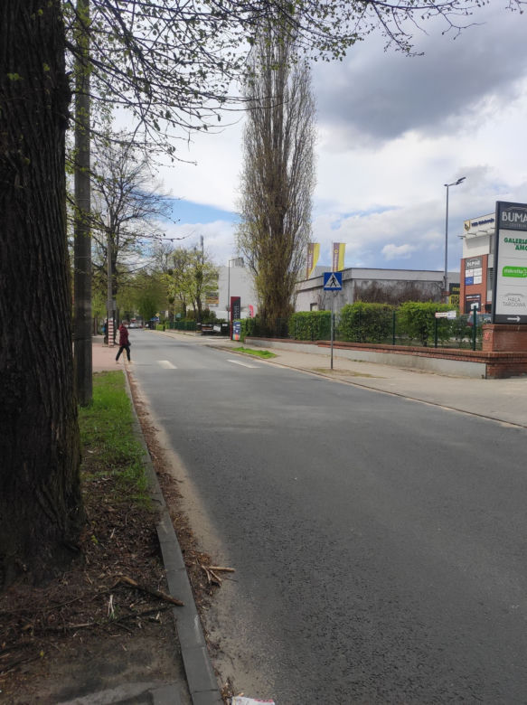 Niepomalowane pasy w Toruniu. Czytelniczka apeluje, MZD odpowiada