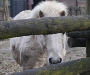 Zwierzęta w białostockim ZOO budzą się na wiosnę