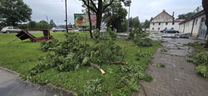 Krajobraz jak po apokalipsie. Wichura zniszczyła gminę Mysłakowice w kilkanaście minut