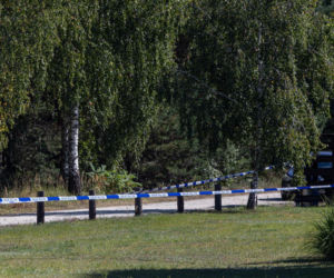 Te historie wyciskały łzy w 2025 roku. Bezsensowna śmierć, cierpienie zwierząt i niewytłumaczalna zbrodnia