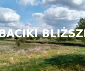 Baciki Bliższe