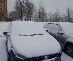 W Bydgoszczy znów prószy śnieg