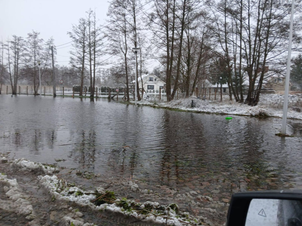 Cofka na Bałtyku. Stepnica