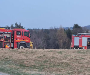 Wypadek w lesie w Czermnej. 10-latek spadł z ciągnika [ZDJĘCIA]