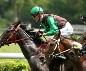 Ladies Day i Crystal Cup na Partynicach