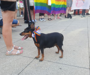 Protest w obronie Margot w Bydgoszczy