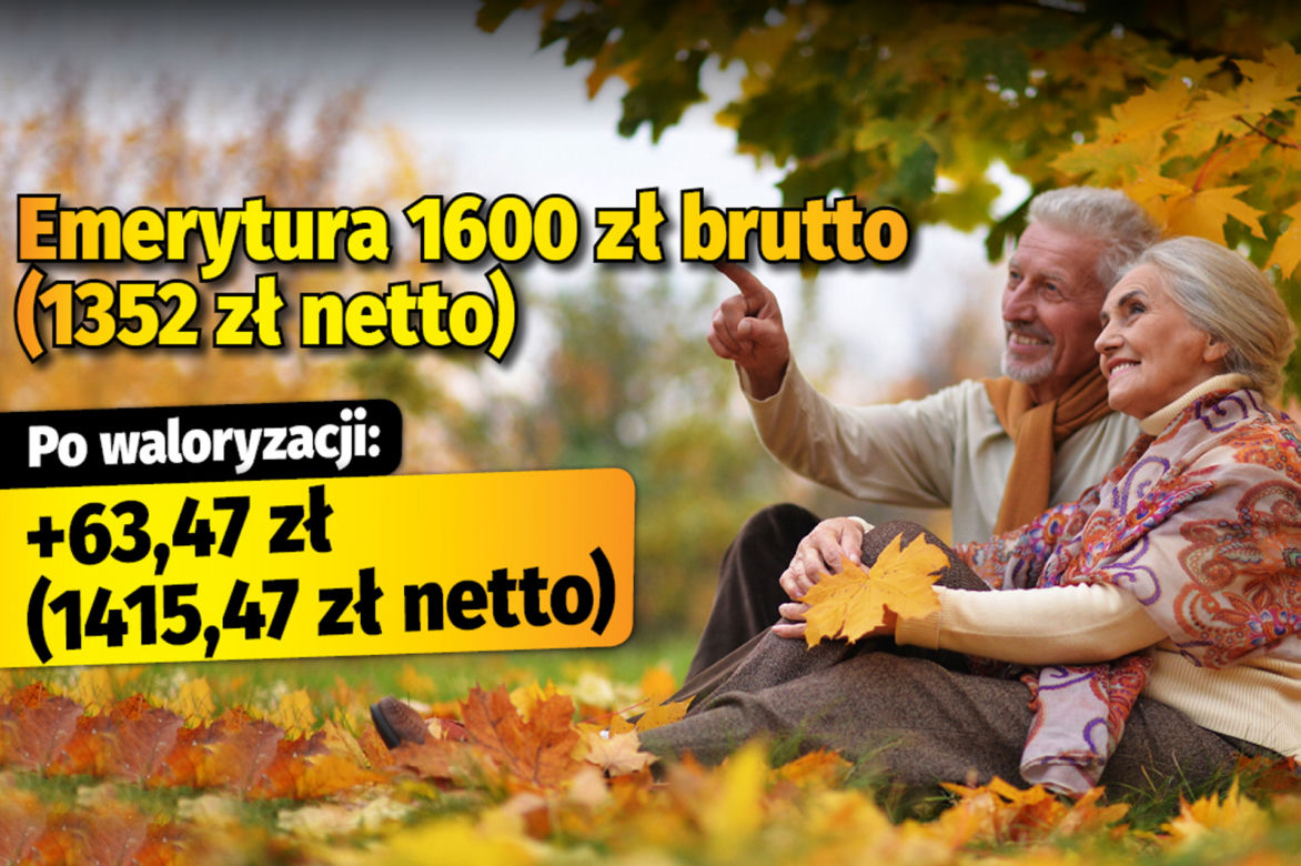Polski Ład/waloryzacja 4,89