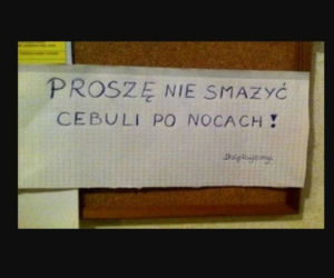 Oto najlepsze ogłoszenia z klatek schodowych!
