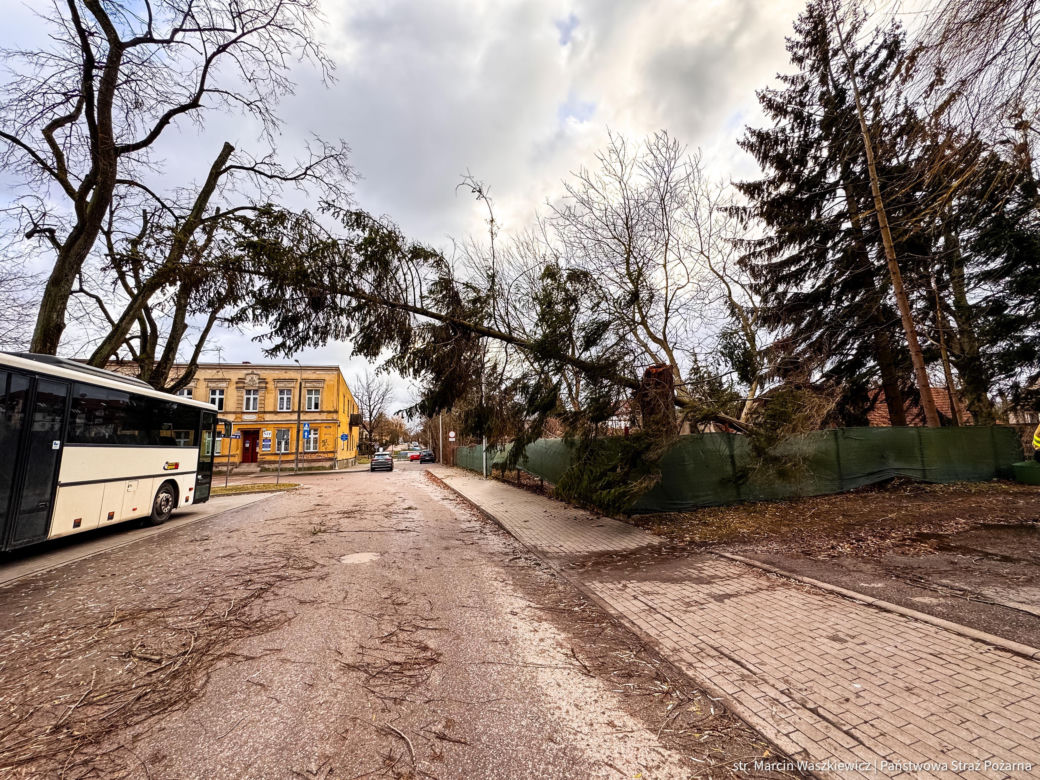 Groźne wichury na Warmii i Mazurach. Drzewo spadło na jadące auto, jedna osoba ranna