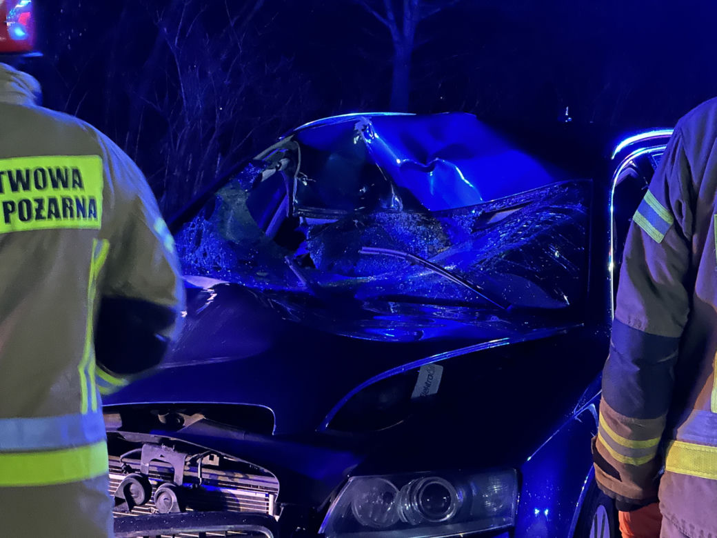 Zmiótł pieszego rozpędzonym audi. Ratownicy reanimowali ranne, dramatyczna akcja