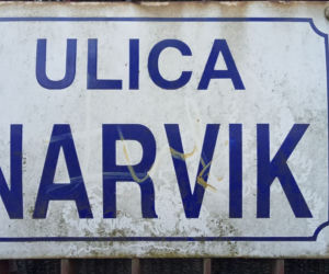 Kto niszczy drzewa?