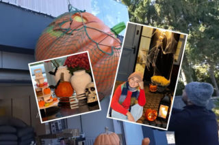 Gwiazdy przebiją same siebie? Tak wystroiły domy na Halloween w poprzednich latach