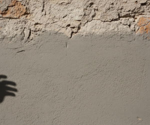 Mural Kawu w Poznaniu. Jak malunek małpki Punch przysporzył kłopotów?