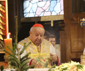 Kard. Dziwisz: Świadectwo wierności Ewangelii wymaga złożenia daru ze swego życia