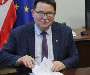 Rój pszczół zaatakował auto