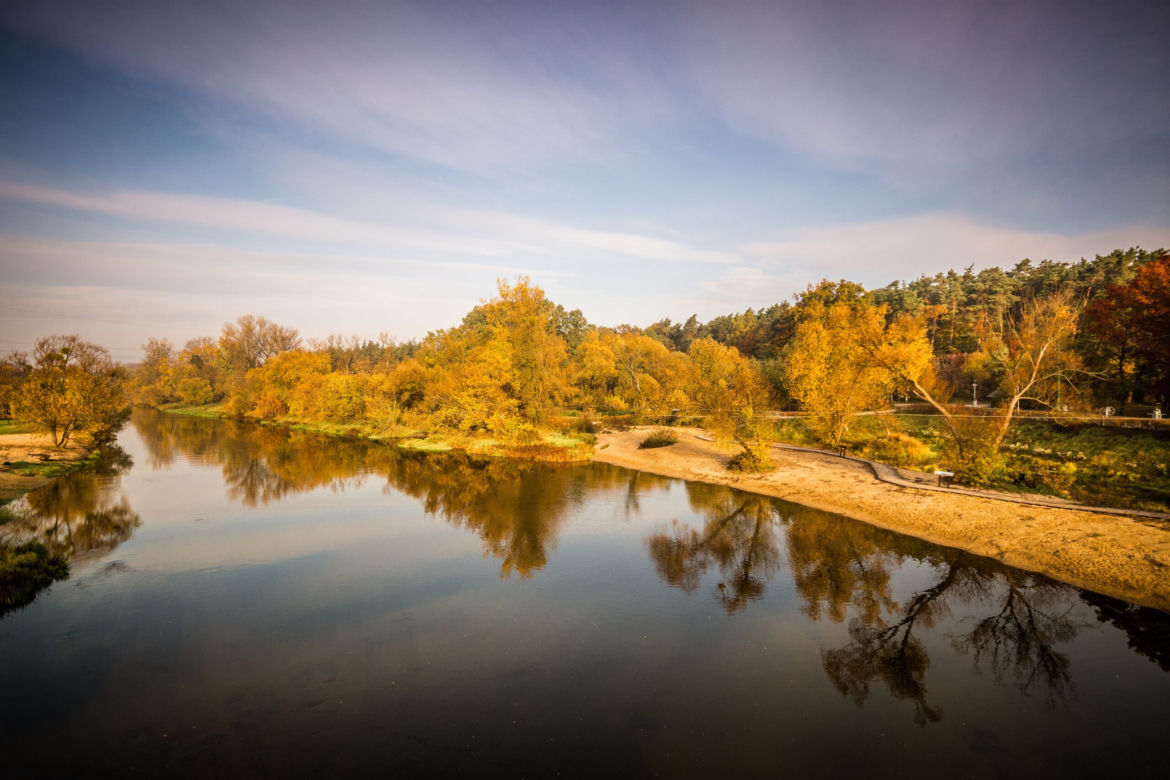 Park Dolina Wkry w Pomiechówku - spacer w koronach drzew, place zabaw, plaża