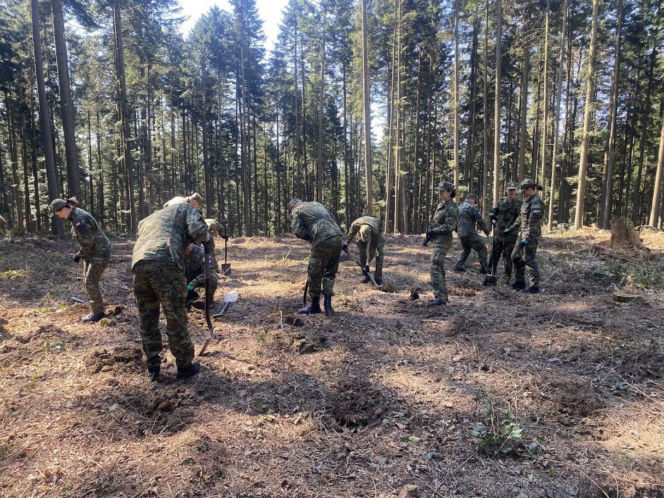 Strażnicy Graniczni sadzili drzewa z okazji 35-lecia swojej formacji