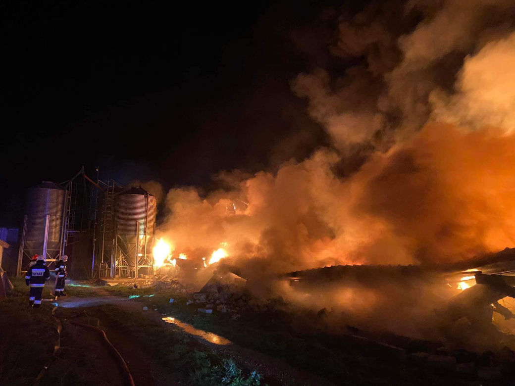 Gigantyczny pożar kurnika. Jęzory ognia strawiły cały budynek. Spłonęło 25 tysięcy młodych pisklaków!