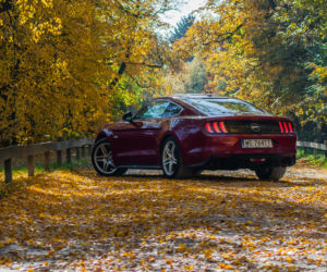 Ford Mustang GT Fastback 5.0 V8 450 KM