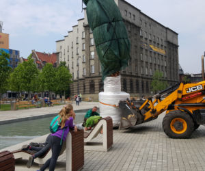 Palmy wróciły na rynek w Katowicach