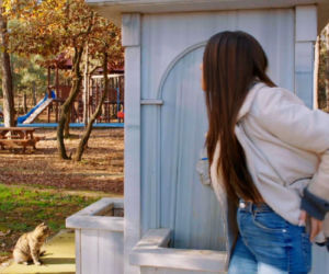 Miłość i nadzieja, odcinek 349. Ege, Zeynep