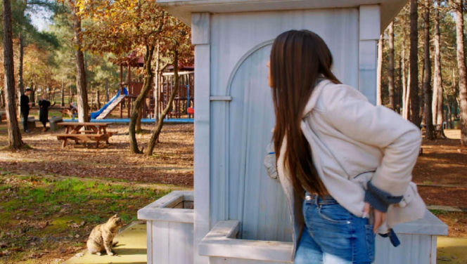 Miłość i nadzieja, odcinek 349. Ege, Zeynep