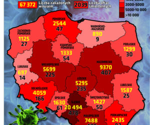 Koronawirus w Polsce. Raport [31 SIERPNIA 2020]