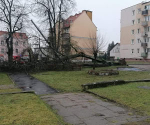 Wichura na Warmii i Mazurach. Tysiące interwencji strażaków [ZDJĘCIA]